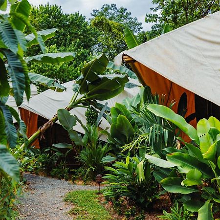 Jungle Gayborhood Hotel And Retreat Center San Luis  Exterior photo