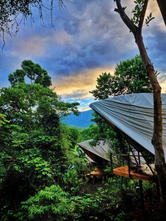Jungle Gayborhood Hotel And Retreat Center San Luis  Exterior photo