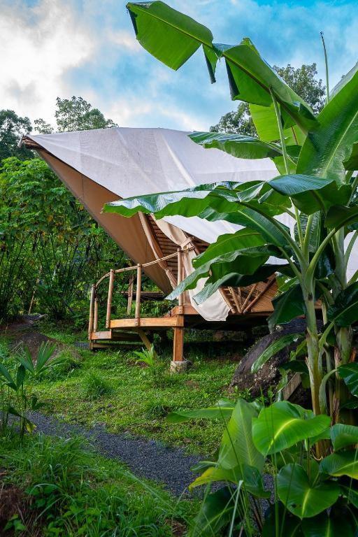 Jungle Gayborhood Hotel And Retreat Center San Luis  Exterior photo