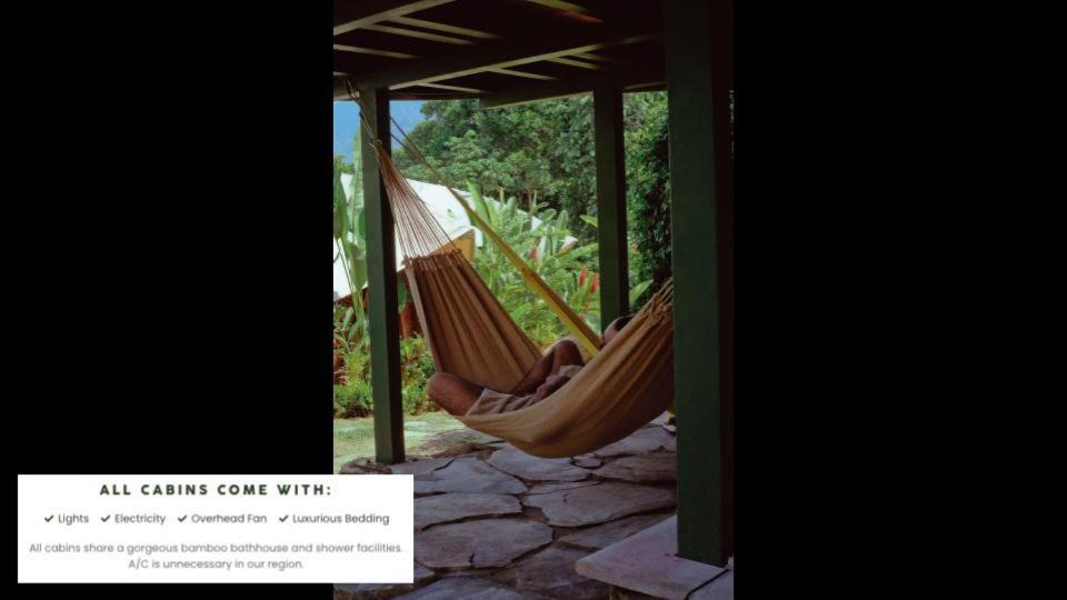 Jungle Gayborhood Hotel And Retreat Center San Luis  Exterior photo