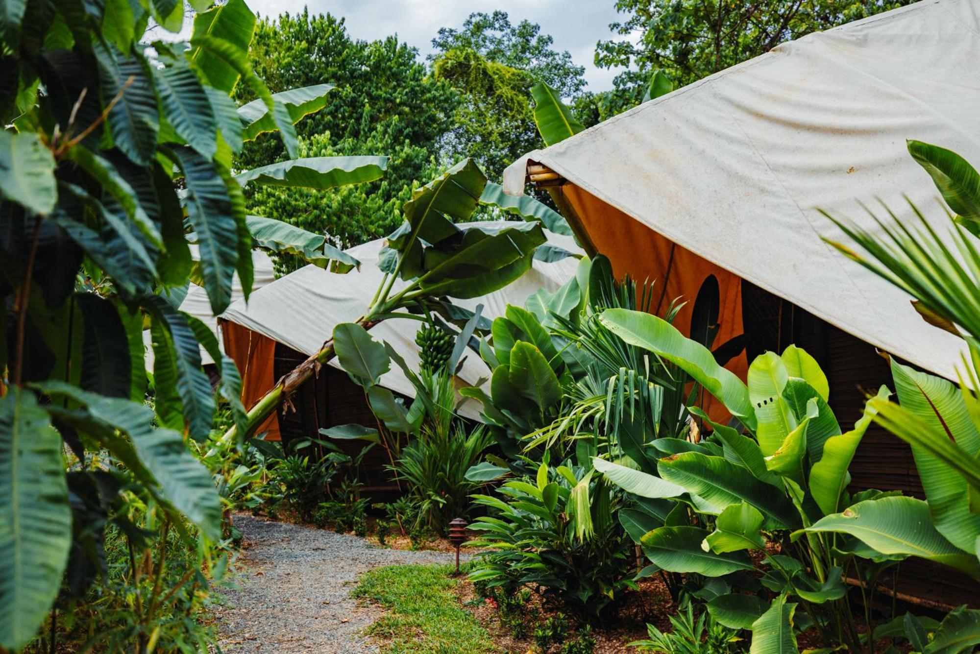 Jungle Gayborhood Hotel And Retreat Center San Luis  Exterior photo