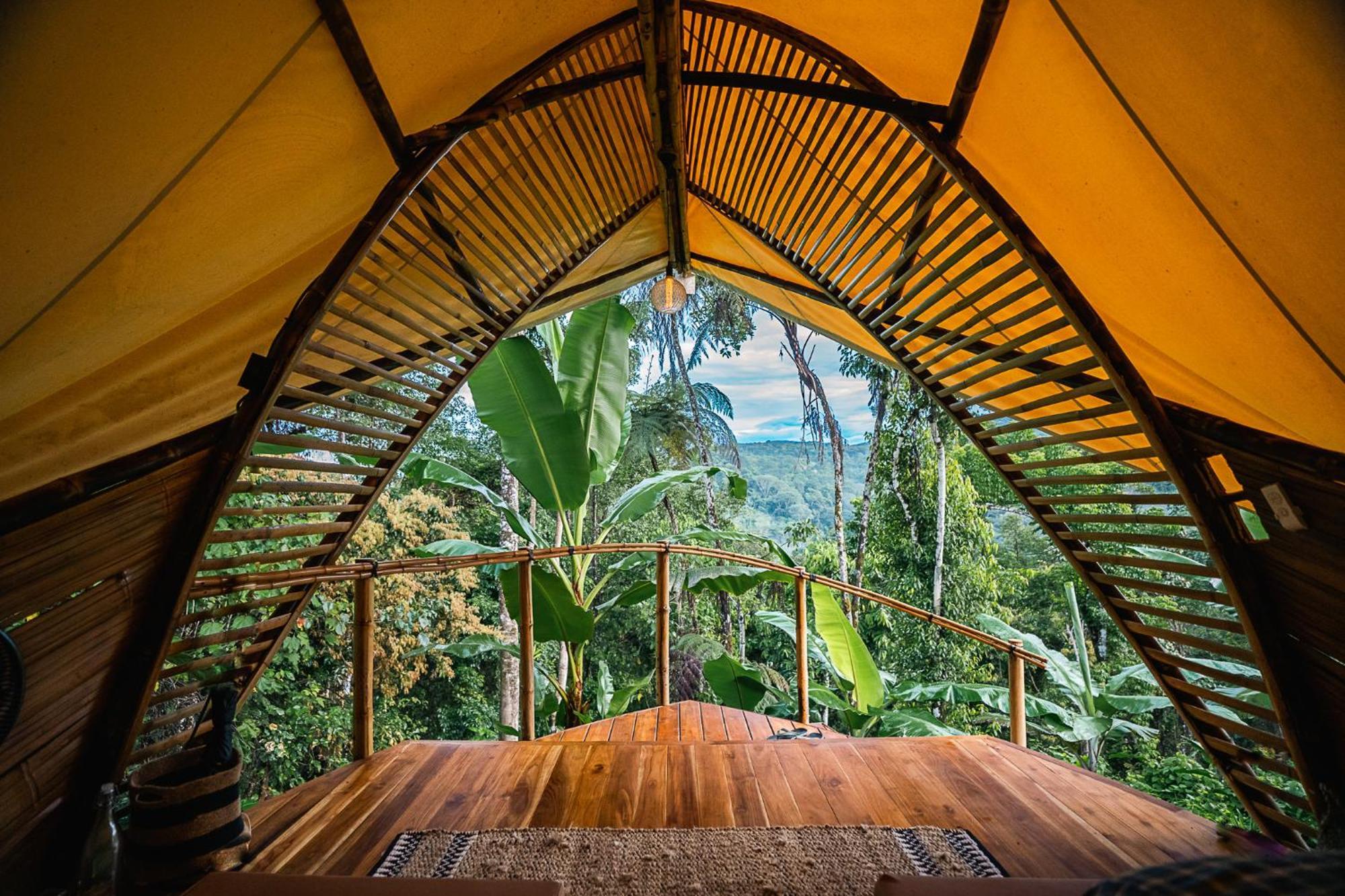 Jungle Gayborhood Hotel And Retreat Center San Luis  Exterior photo