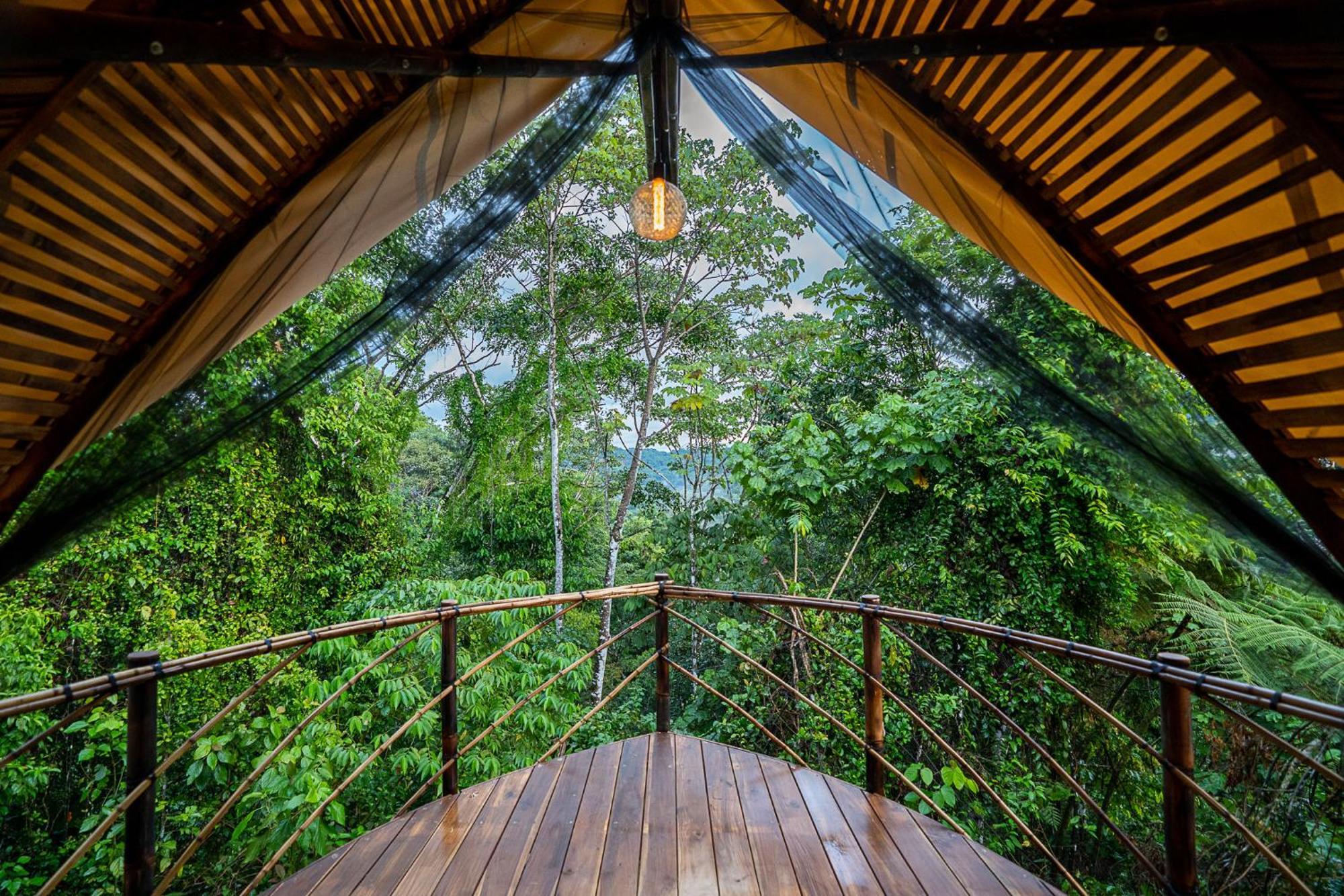 Jungle Gayborhood Hotel And Retreat Center San Luis  Exterior photo